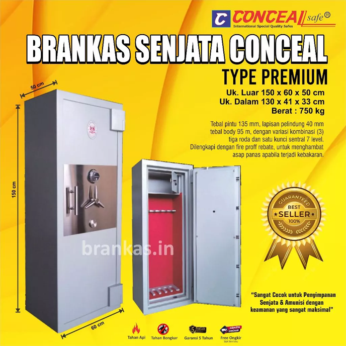 brankas senjata conceal